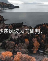 黑料社抄袭风波风向研判，一起深挖
