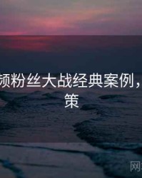新91视频粉丝大战经典案例，助你决策