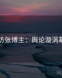 吃瓜专访张博主：舆论漩涡幕后故事