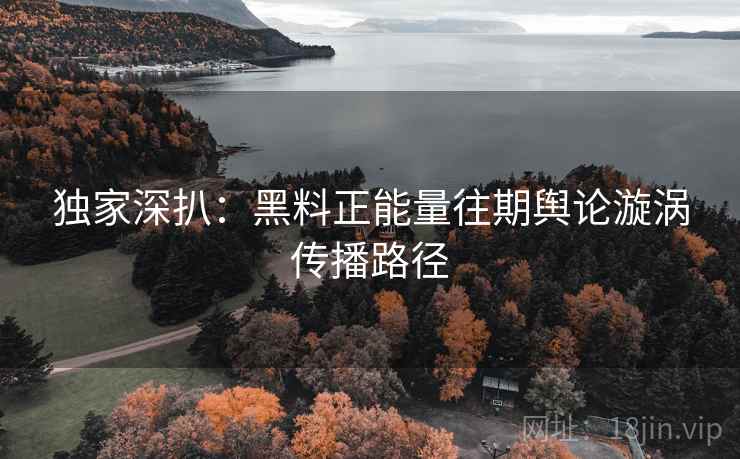 独家深扒：黑料正能量往期舆论漩涡传播路径