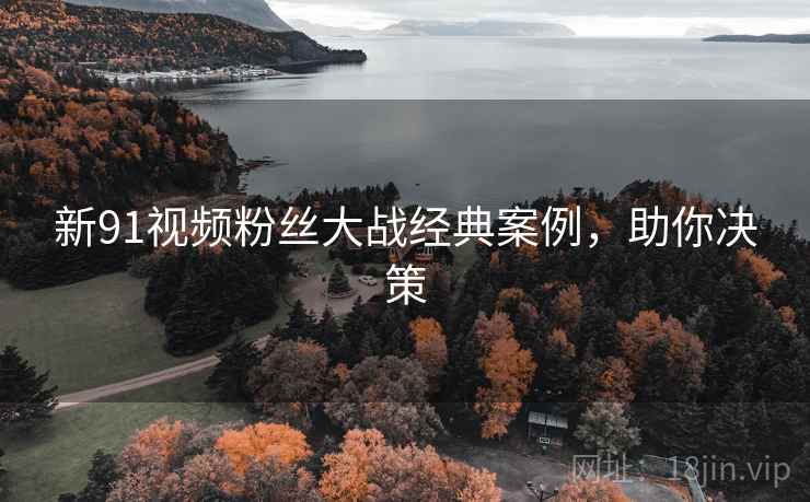 新91视频粉丝大战经典案例，助你决策