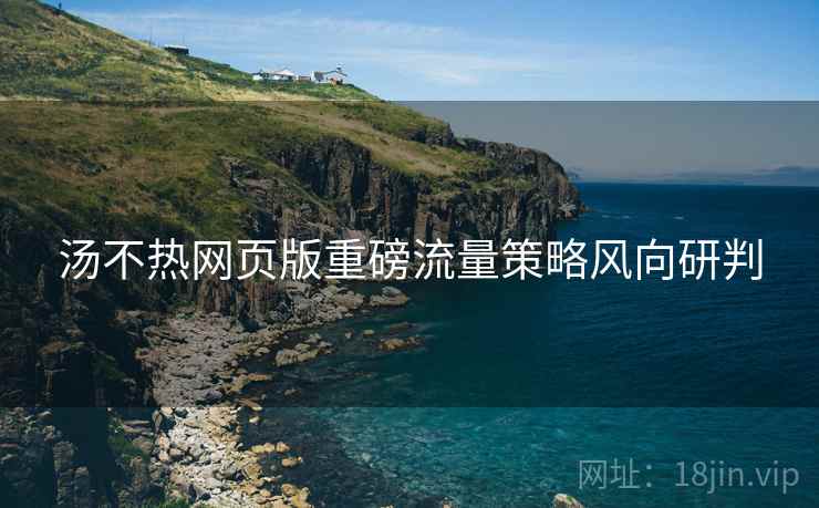 汤不热网页版重磅流量策略风向研判