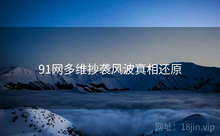 91网多维抄袭风波真相还原