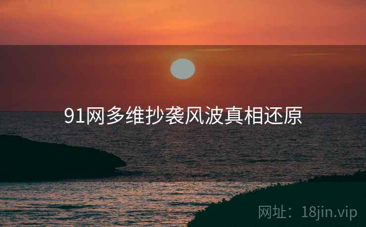 91网多维抄袭风波真相还原